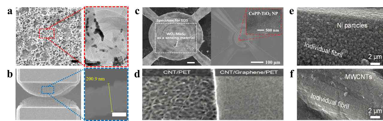 다차원 나노복합소재의 합성 및 공정 결과. (a) 금나노입자-탄소나노튜브 복합소재. (b) 수직정렬된 금-탄소나노튜브 복합소재. (c) 반도체성 나노입자가 장식된 WO3-MoS2와 CoPP-TiO2 나노입자 복합소재. (d) 탄소나노튜브-그래핀 복합소재. (e, f) 니켈 나노입자와 탄소나노튜브로 기능화 처리된 마이크로 섬유
