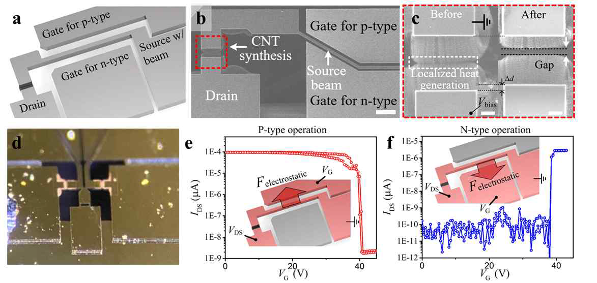 수직정렬된 탄소나노튜브 다발 기반 마이크로 기전 스위치. (a) 마이크로 기전 스위치의 모식도. (b) 제작한 소자의 전자현미경 사진. (c) 접촉 소재인 탄소나노튜브 다발의 전자현미경 사진. (d) 소자의 광학 현미경 사진. (e, f) 작동전압에 따라 접촉이 분리되는 p-type 스위치와 접촉을 형성하는 n-type 스위치의 작동전압 측정