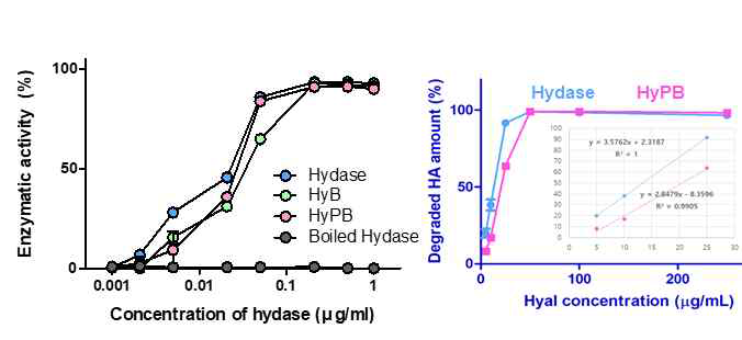 Hydase 및 유도체의 히알루론산 분해 활성