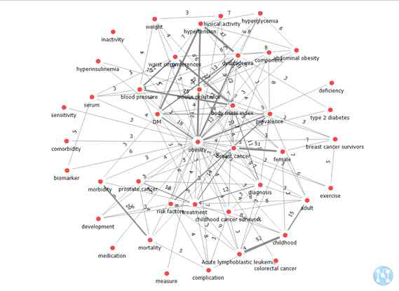 핵심 키워드 네트워크(obesity)