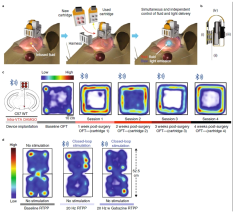 동물 실험을 통한 무선 광유전학 및 약물학적 뇌 신경회로 제어 구현: (a) 디바이스 이식 및 사용 개념도, (b) 이식된 디바이스의 단면도, (c) 장기간에 거친 약물 전달을 통한 뇌 보상회로 무선 제어, (d) 무선 광유전학(중간) 및 약물 전달(오른쪽)을 통한 쥐의 특정 장소 선호도 컨트롤
