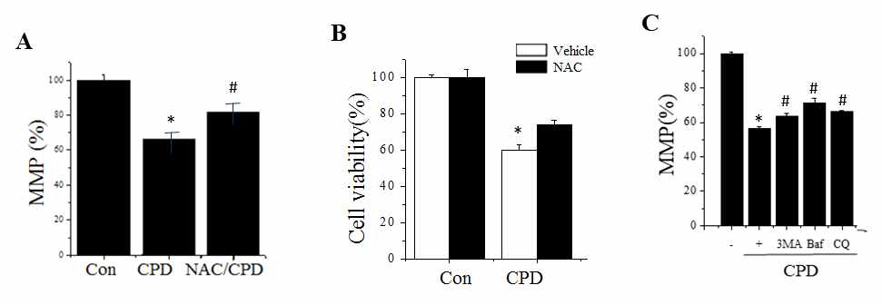 Effects of antioxidant and autophagy inhibitors on cyprodinil-induced cell death and mitochondria dysfunction