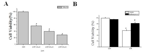 Effects of β-naphthoflavone(βNF) and bafilomycin A1 on cell viability in human glioblastoma cells