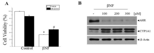 Effects of βNF and CH223191 on cell viability and AHR and CYP1A1 protein levels