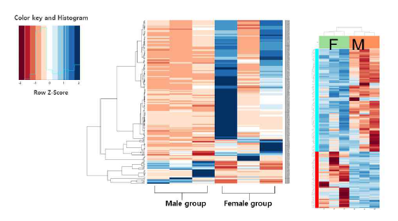 이식암모델의 성별차에 의한 유전자발현 차이