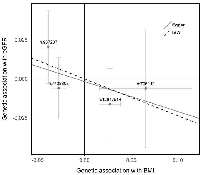 Genetic association of estimated glomerular filtration rate and body mass index