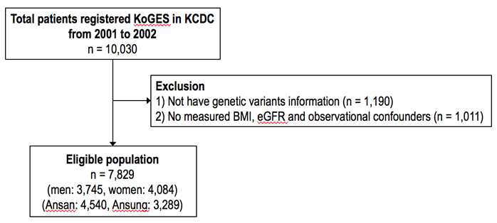 Flow diagram of the Ansan-Ansung cohort populations