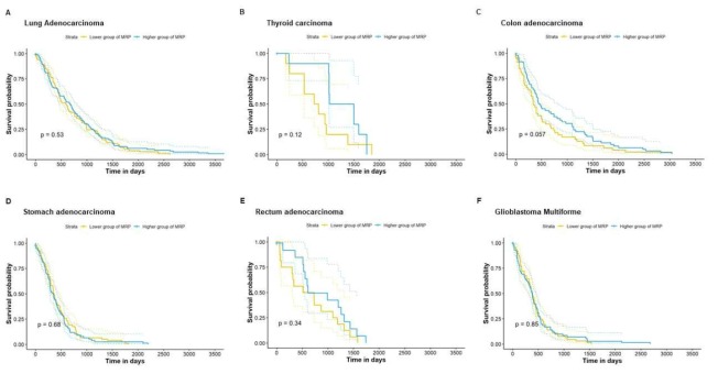 기타 암종에서 MRP 발현과 생존율의 상관성 분석