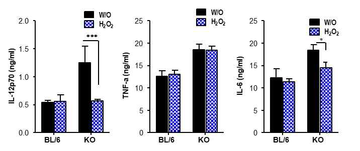 ROS 생산 유도에 의한 M1 macrophage polarization억제. ROS 생산을 촉진하는 H2O2를 이용하여 골수 세포로부터 GM-CSF에 의해 준비된 M1 macrophage polarization억제