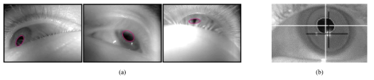 동공 검출이 어려운 경우 예시. (a) 눈꺼풀/속눈썹에 의해 가려진 동공, (b) 콘택트렌즈 경계가 동공 검출을 방해할 수 있으며, 렌즈 굴절에 의해 동공 중심이 왜곡 추정될 수 있음 (모두 동공은 타원 형태임)