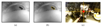 시선 추적 시스템. (a) 근적외선 카메라로 촬영된 눈 영상, (b) 동공 검출 결과, (c) 추정된 시선