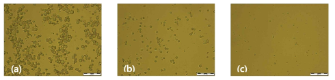 Optical microscope images of P(AA-co-GelMA) hydrogel particles synthesized using various amount of continuous medium (silicone oil): (a) silicone oil 15 ml, (b) silicone oil 30 ml, and (c) silicone oil 60 ml