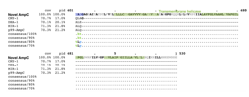 Multiple alignment of the Novel AmpC along with representative plasmid-mediated class C beta-lactamases and overproduced chromosomal AmpC from Enterobacter cloacae p99. Signal sequence (yellow), periplasmid region (blue), and transmembrane helicase region (green) of the novel AmpC are indicated (continued)