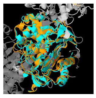 Imipenem (atomic branch shaped) is linked with the new AmpC (cyan) and E. coli chromosomal AmpC (yellow)