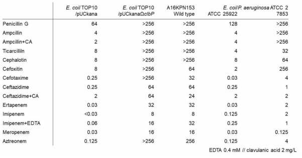 MICs of beta-lactam drugs