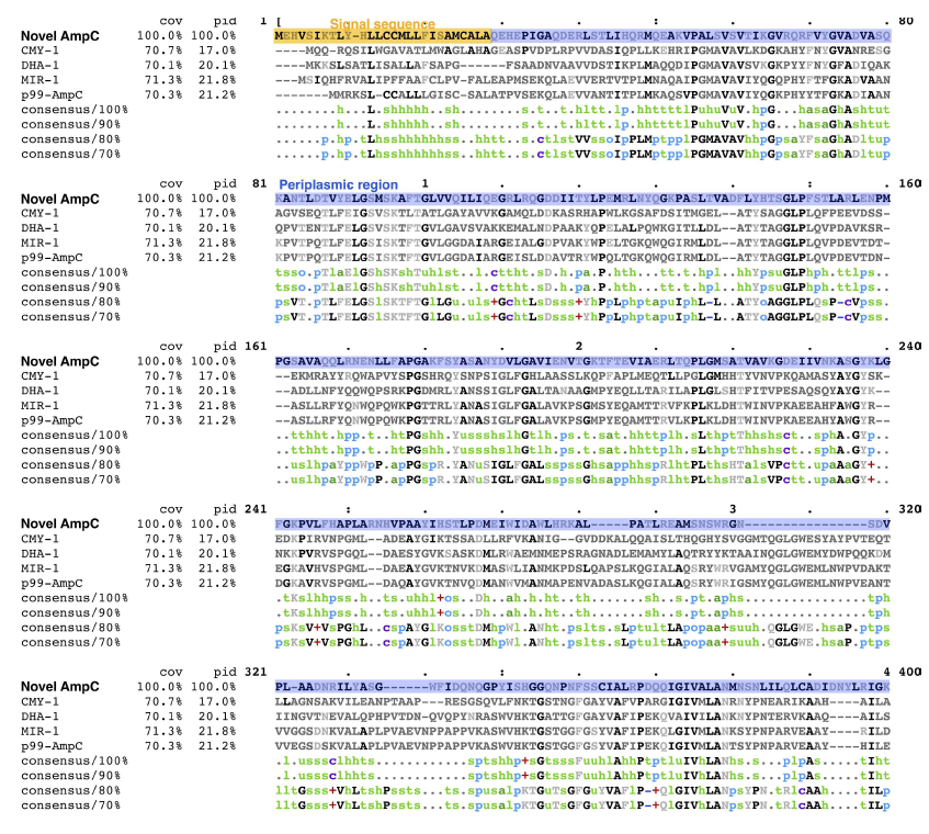 Multiple alignment of the Novel AmpC along with representative plasmid-mediated class C beta-lactamases and overproduced chromosomal AmpC from Enterobacter cloacae p99. Signal sequence (yellow), periplasmid region (blue), and transmembrane helicase region (green) of the novel AmpC are indicated