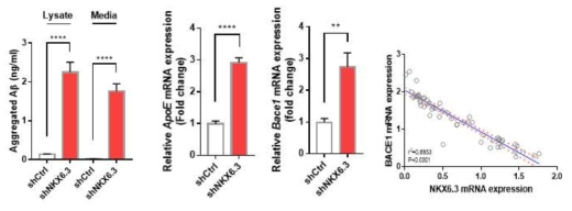 NKX6.3 depletion 에 따른 β-amyloid 관련 단백들의 발현과 위 점막에서 NKX6.3과 BACE1 의 발현 상관관계