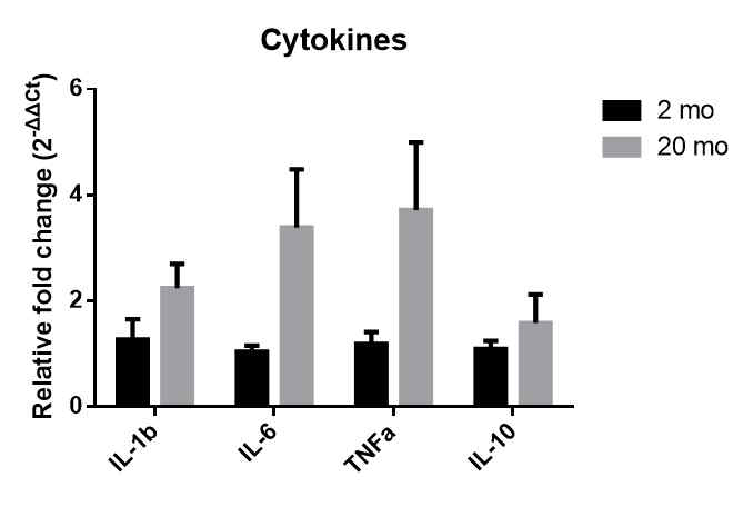 Inflammatory cytokine 의 변화양상
