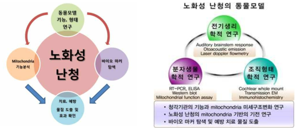 연구의 핵심추진 체계 및 전략