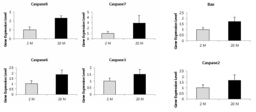노화성 난청의 와우에서 apoptosis factor 의 변화