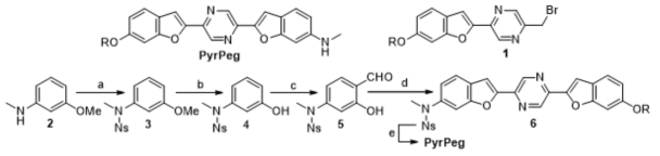 Structure and the synthesis of PyrPeg. a) 2-Nitrobenzenesulfonyl chloride, Et3N, CH2Cl2, 0 °C; b) BBr3, CH2Cl2, -78 °C; c) p-paraformaldehyde, MgCl2, Et3N, CH3CN, reflux; d) 1, K2CO3, DMF, 100 °C; e) PhSH, K2CO3, DMF, 0 °C