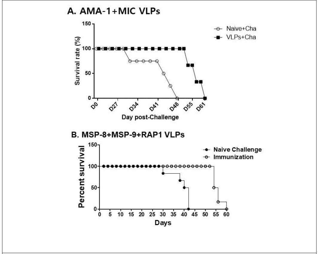 백신 접종 후 관찰한 마우스의 생존 반응 백신 접종 후, 치사량의 말라리아 원충을 감염 시킨 뒤 마우스의 생존 반응을 기록함. 비 접종 마우스와 비교 했을 때, VLPs 백신 접종 마우스는 생존 기간이 16일(A)에서 18(B)일 증가한 것으로 확인됨