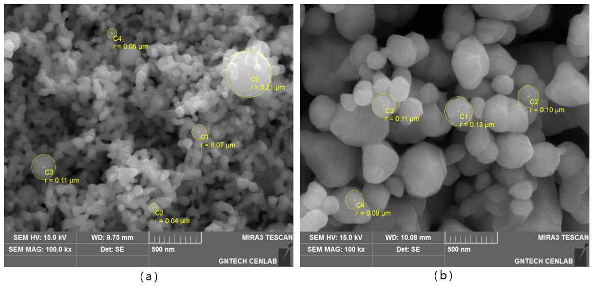FE-SEM으로 촬영한 나노분말 (a) 구리 (b) 은