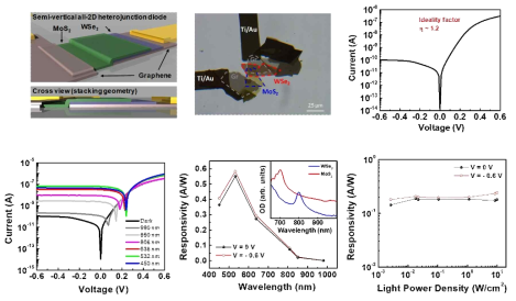 그래핀 전극을 도입한 All 2D MoS2/WSe2 광다이오드 소자 (소자 이미지, 전류-전압, 광전류-전압, 광응답 특성)
