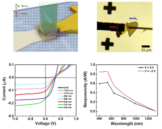 2차원 나노 반도체 이종접합 (MoTe2/Mos2) 및 이를 적용한 광다이오드 특성