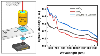 자체 개발 Micro-absorption 장비 모식도 및 MoTe2/MoS2 이종 접합의 흡수 특성