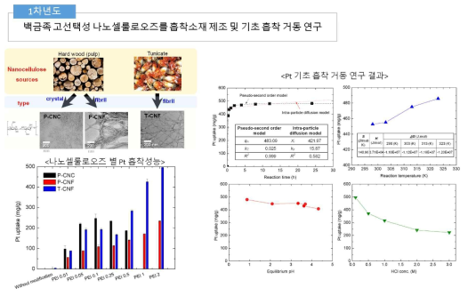 1차년도 수행 연구 내용