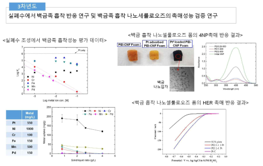 3차년도 연구수행내역