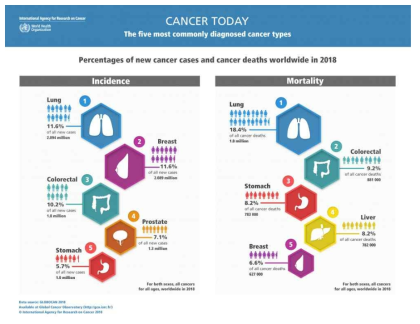 2018년 전세계 암 발생률 및 사망률