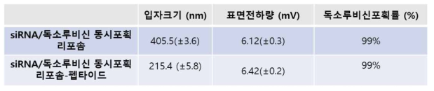 siRNA/독소루비신 포획 나노입자의 물리 화학적 특성