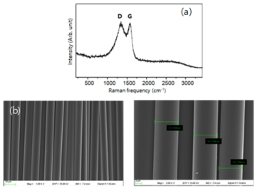 탄소섬유의 (a) 라만 스펙트럼 및 (b) 주사전자현미경 사진