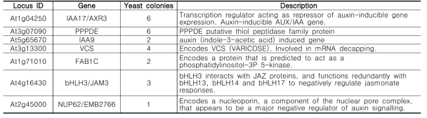 Yeast two-hybrid screening을 통해 선별한 AtC3H59 상호작용 단백질 목록