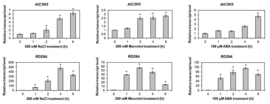 삼투 스트레스 조건에서 AtC3H3의 발현. RD29A는 삼투 스트레스 처리에 대한 control임