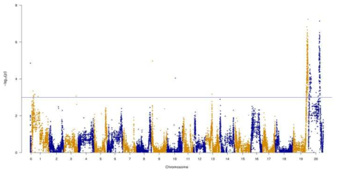 황금(원엽) x PI507822(장엽) 재조합 63 개체에 대한 single marker analysis 결과의 Manhattan plot