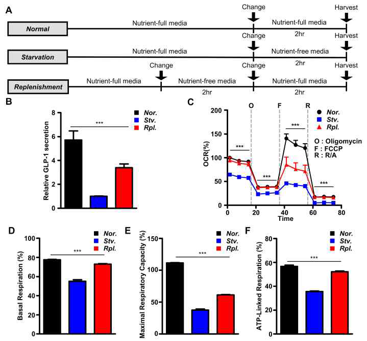 Nutrition 변화에 따라 GLP-1 분비의 변화가 나타남을 확인함