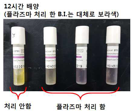 의료용 멸균기 성능인증평가용 BI-테스트 결과 사진이다. 멸균 챔버 용적 50 리터 용기 내부에 고농도 오존 500 ppm을 유지하여 20분간 멸균처리한다. 멸균처리된 BI는 균배양기에서 12시간 배양하여 BI의 색상변화를 관찰한다. 멸균처리하지 않은 BI시료(좌측)의 색은 노란색을 나타내므로, 멸균되지 않았다는 뜻이다. 오존처리한 우측의 3-개의 BI-시료의 색은 보라색으로 변하였다. 보라색이 선명할 수록 멸균율이 높다는 뜻이다