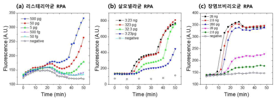 리스테리아균, 장염비브리오균, 살모넬라균에 대한 RPA test 결과