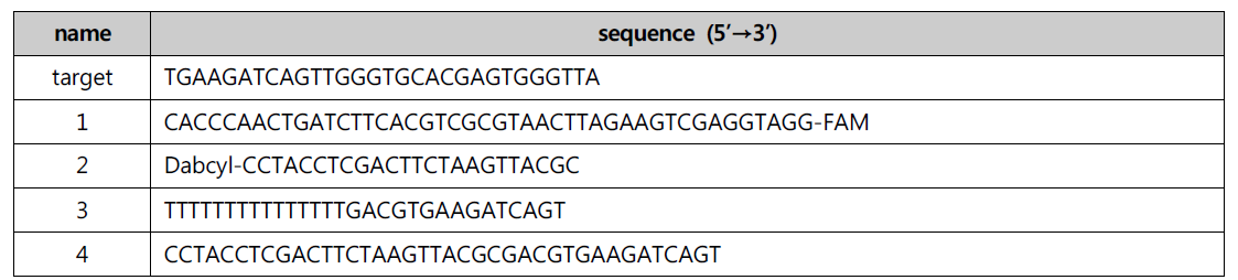 EDC 핵산 증폭 반응에 사용된 oligonucleotides