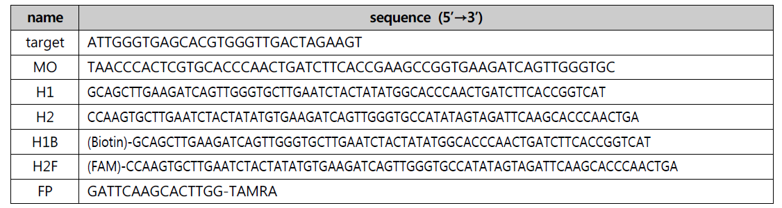 CHA 핵산 증폭 반응에 사용된 oligonucleotides