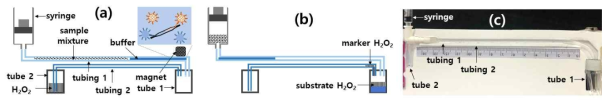 입자 이동에 의한 검출키트의 원리와 제작된 키트 (a) 시료를 tubing 1에 주입하고 복합체를 이동시킨 상태 (b) 복합체를 tube 1로 이동시킨 후 H2O2 용액을 이동시킨 상태 (c) 제작된 키트