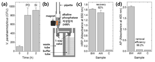 피펫 기반 범용 진단장치 성능 분석 결과 (a) 배양 효율 (b) magnetic washing unit (c) 회수율 (d) 세척 효율. PD, pipette-based device; SI, shaking incubator; BW, before washing; AW, after washing