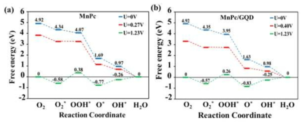 (a) MnPc 및 (b) MnPc/GQD에 대해 제로셀 전위 U = 0 V, 평형셀 전위 U = 1.23 V, 각 단계에서 자유에너지가 음이 되는 최대 포텐셜이 계산된 free energy 다이어그램