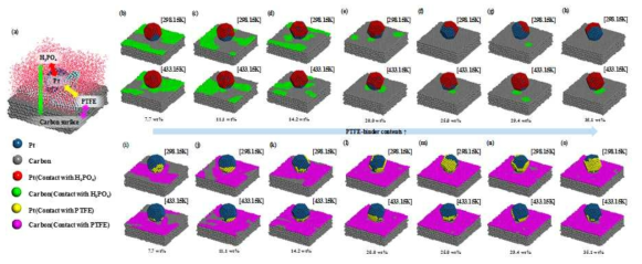 온도 및 PTFE 함량에 따른 Pt-H3PO4, C-H3PO4, Pt-PTFE, C-PTFE surface coverage 분석 모델 설계