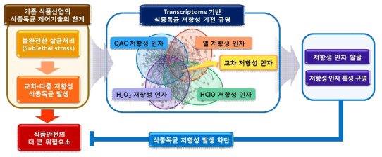 제어공정에 대한 저항성균 발생 기전 규명 및 저항성 발생 차단방안 모색전략