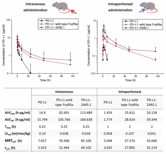 마우스 모델에 정맥 및 복강 투여를 통한 혈중 반감기 분석