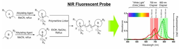 근적외선 형광 물질의 합성 모식도와 흡광 및 발광 스펙트럼